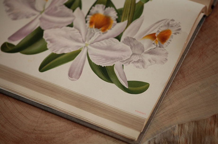 ON THE ROAD Design creative direction creativity post-production Photography Art Portuguese design Thestudio thestudiosite.com