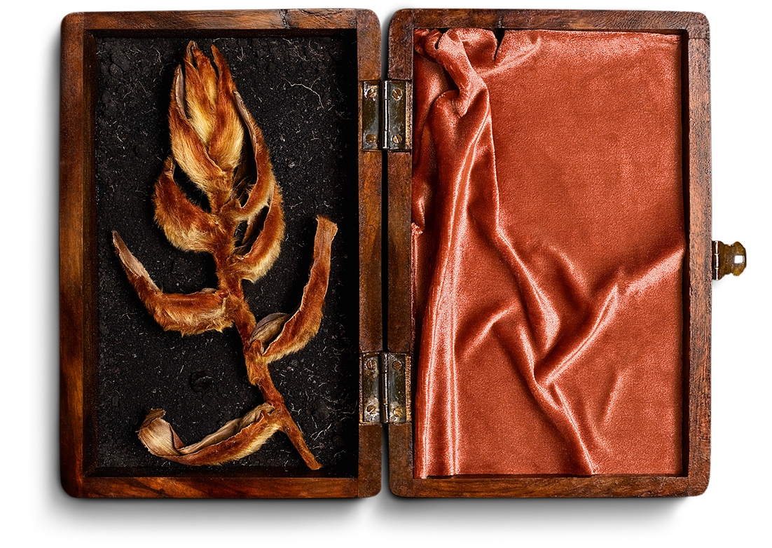 PROMEMORIA Design creative direction creativity post-production Photography Art Portuguese design Thestudio thestudiosite.com