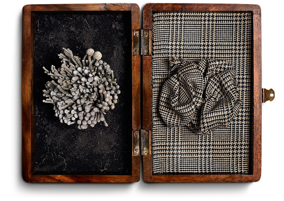 PROMEMORIA Design creative direction creativity post-production Photography Art Portuguese design Thestudio thestudiosite.com