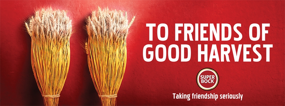 SUPERBOCK Design creative direction creativity post-production Photography Art Portuguese design Thestudio thestudiosite.com