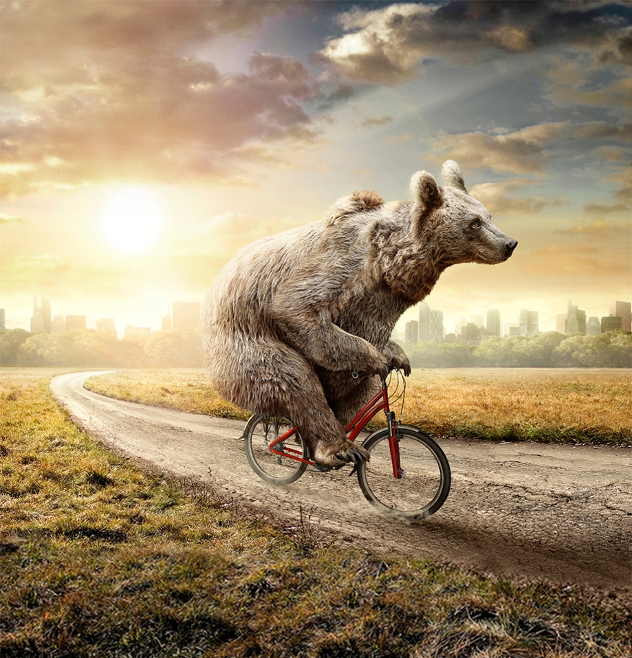 TOSHIBA Design creative direction creativity post-production Photography Art Portuguese design Thestudio thestudiosite.com