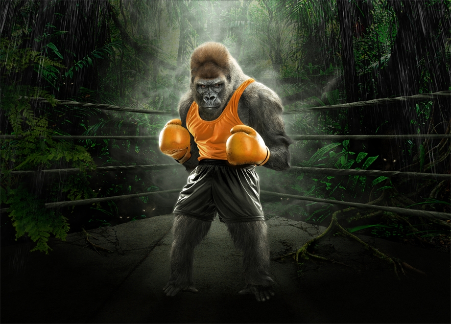 TOSHIBA Design creative direction creativity post-production Photography Art Portuguese design Thestudio thestudiosite.com