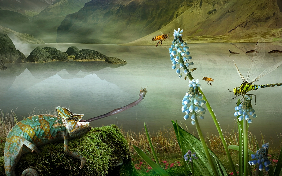 MEGA OUTDOOR Design creative direction creativity post-production Photography Art Portuguese design Thestudio thestudiosite.com